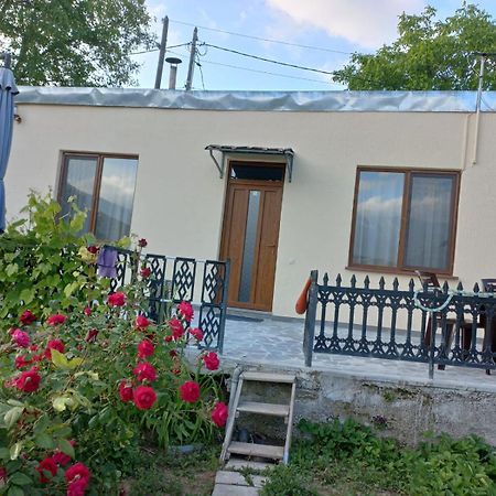 Ana-Maria Bnb Bed & Breakfast Tat'ev Exterior photo