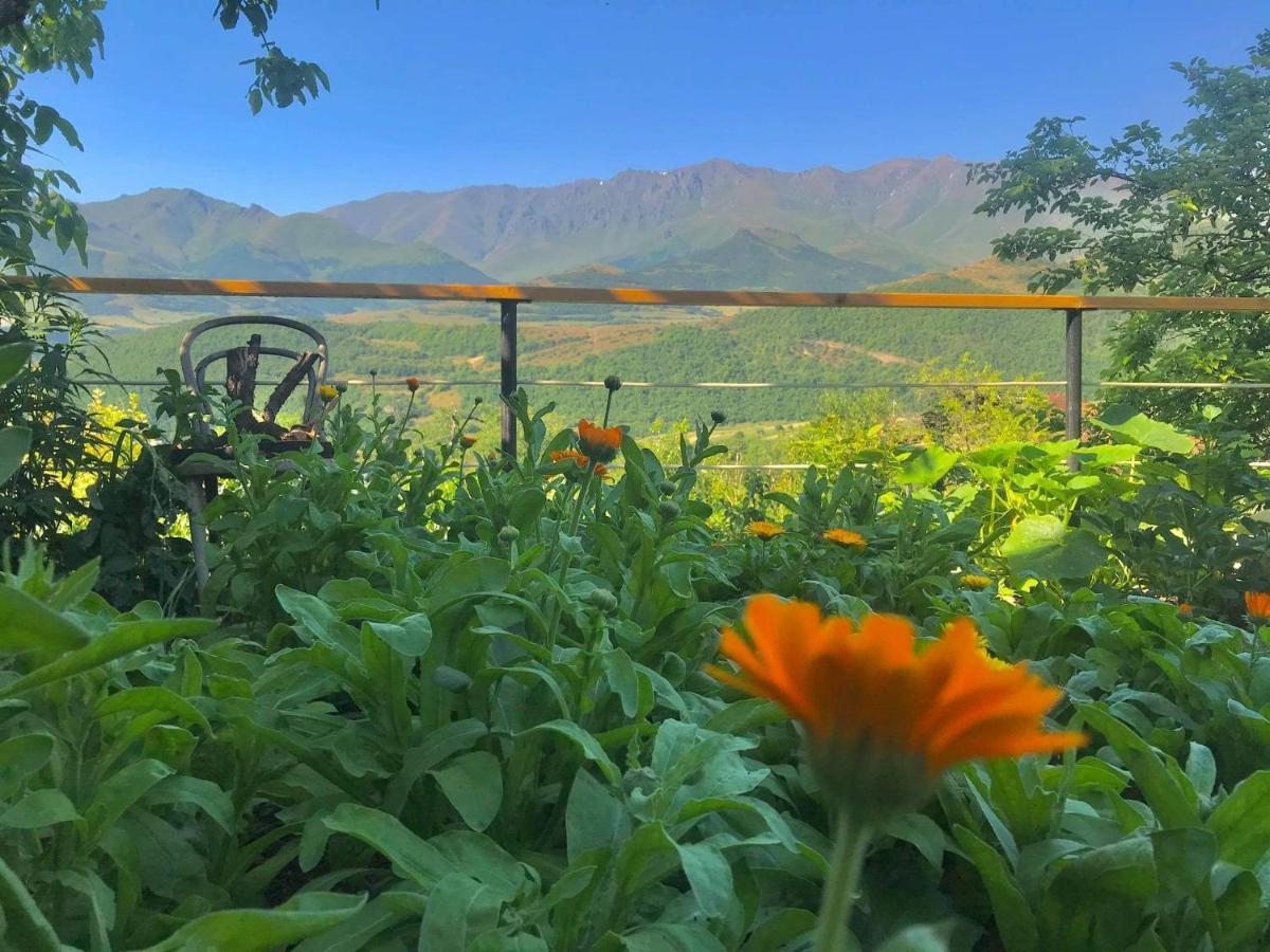 Ana-Maria Bnb Bed & Breakfast Tat'ev Exterior photo