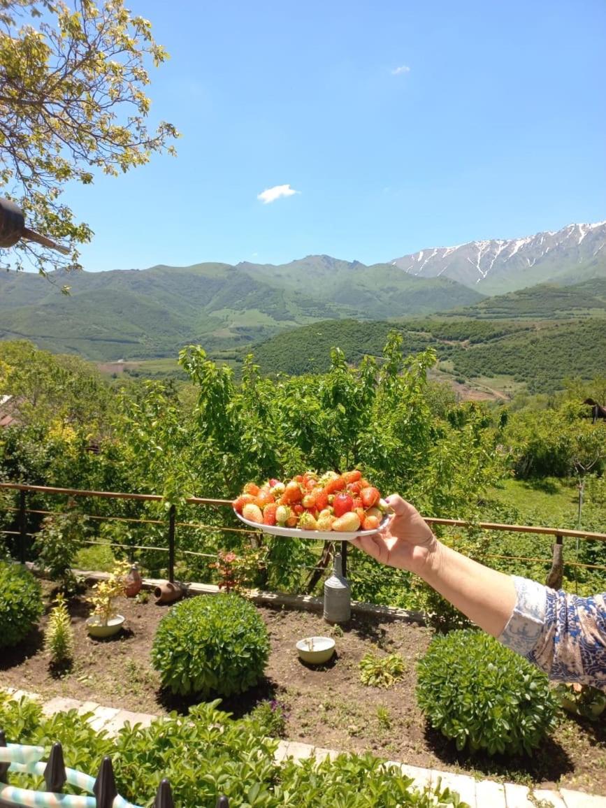 Ana-Maria Bnb Bed & Breakfast Tat'ev Exterior photo
