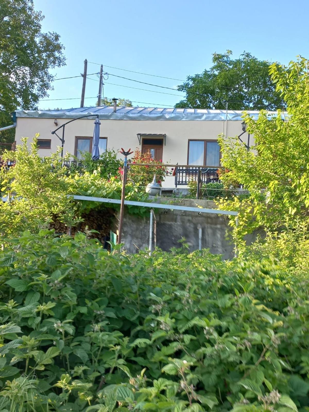 Ana-Maria Bnb Bed & Breakfast Tat'ev Exterior photo